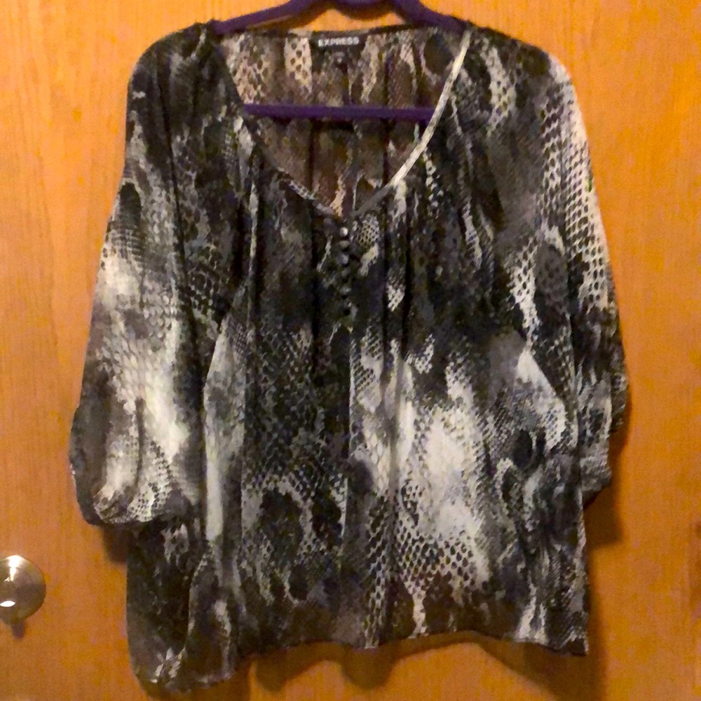 Blouse: Sheer Reptile Print, Oversized